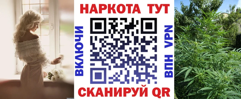 Какие есть наркотики Снежногорск Каннабис  mega вход  Меф  A PVP  АМФЕТАМИН 