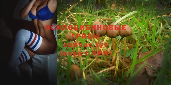 прущая мука Алзамай