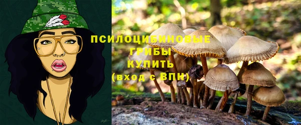 прущая мука Алзамай