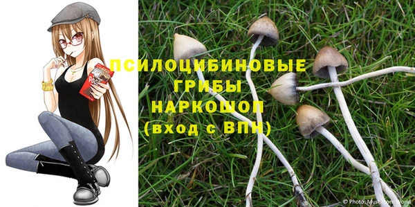 кокс Алексин