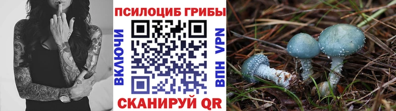 Псилоцибиновые грибы прущие грибы  Снежногорск 