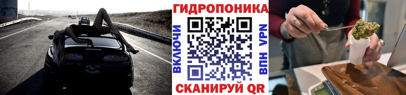 ОМГ ОМГ зеркало  Снежногорск  Шишки марихуана конопля 